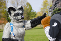 Fursuit Romp Oct 10 2015-354 