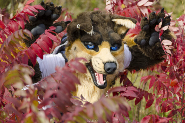 Fursuit Romp Oct 10 2015-378
