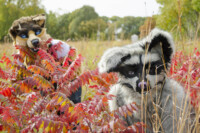 Fursuit Romp Oct 10 2015-390 