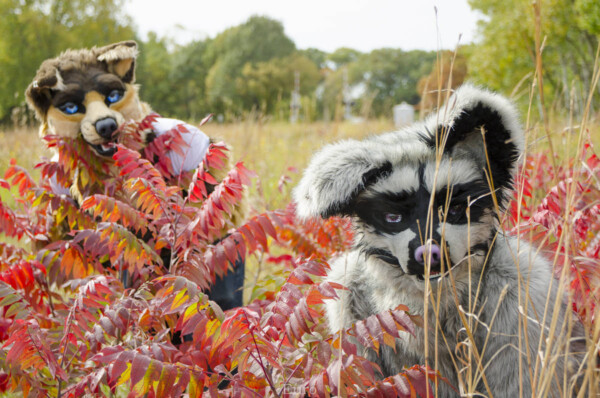 Fursuit Romp Oct 10 2015-390
