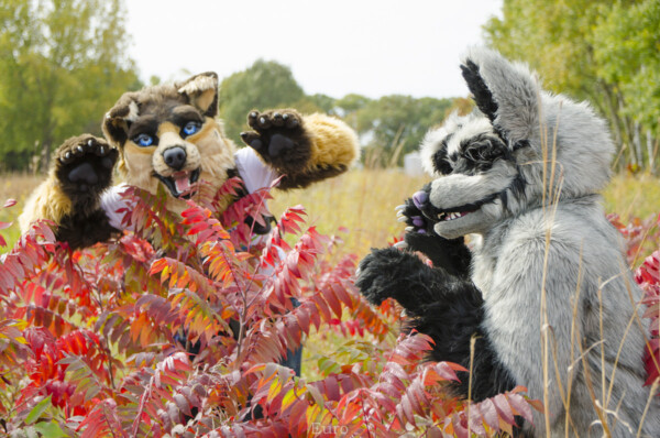 Fursuit Romp Oct 10 2015-395