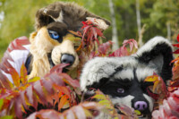 Fursuit Romp Oct 10 2015-415 