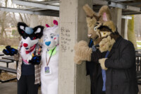 Fursuit Romp Dec 6 2015-03 