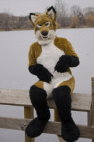 Fursuit Romp Dec 6 2015-20 