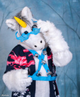 LIC_7019 