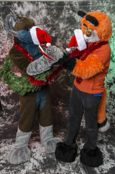 MNFurs Holiday Photoshoot Dec 13 2015-030