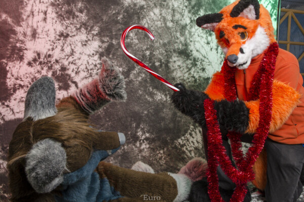 MNFurs Holiday Photoshoot Dec 13 2015-032