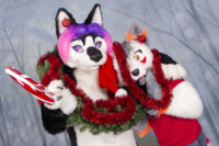 MNFurs Holiday Photoshoot Dec 13 2015-042 