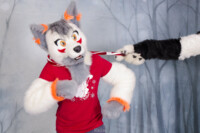 MNFurs Holiday Photoshoot Dec 13 2015-068 