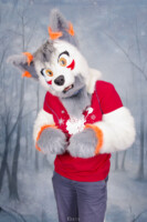 MNFurs Holiday Photoshoot Dec 13 2015-081 