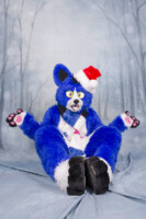 MNFurs Holiday Photoshoot Dec 13 2015-090 