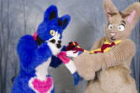 MNFurs Holiday Photoshoot Dec 13 2015-092 