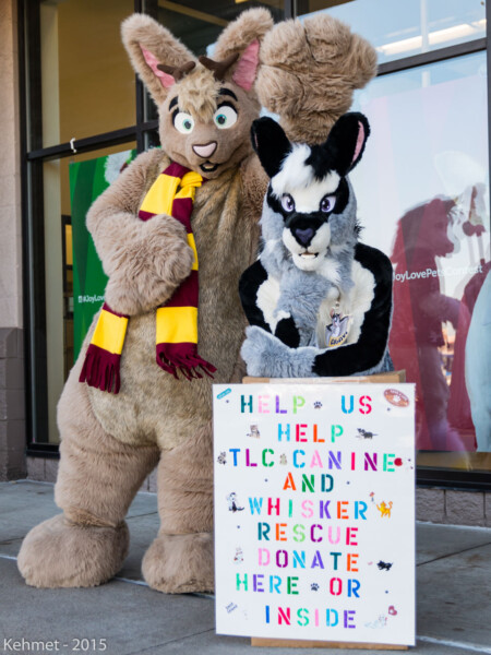 DSC_6071