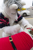 Tree of Hope Dec 12 2015-011 