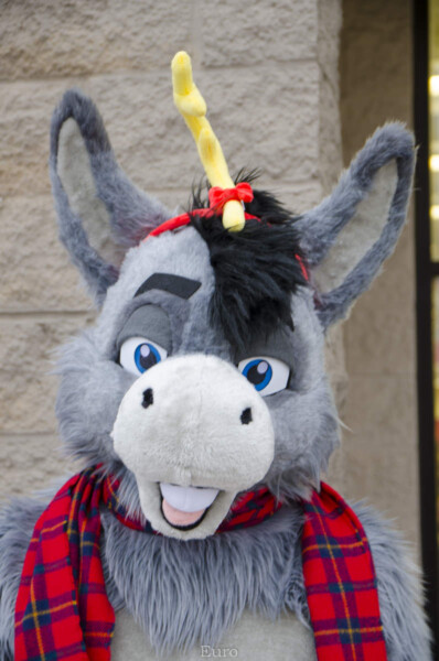 Tree of Hope Dec 12 2015-032