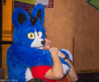 DSC_7946-Edit 