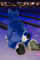 Fursuit Bowling Jan 1 2016-022 