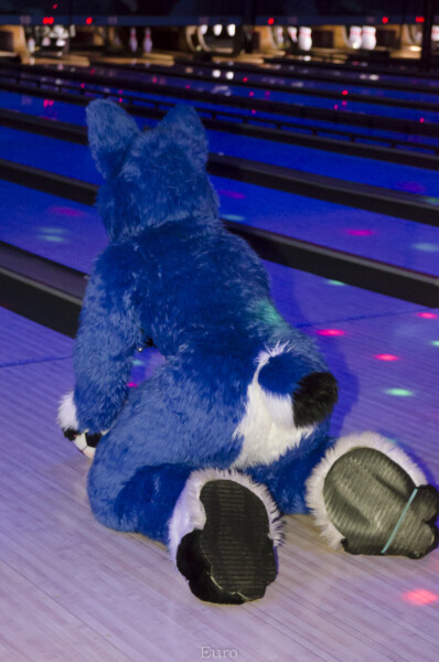 Fursuit Bowling Jan 1 2016-022