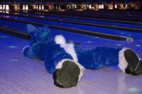 Fursuit Bowling Jan 1 2016-023 