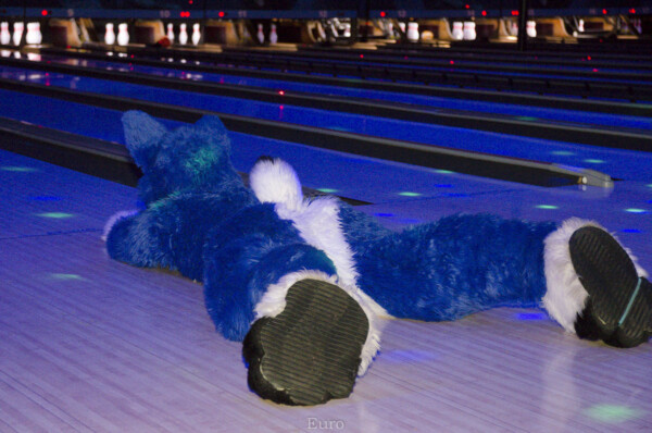 Fursuit Bowling Jan 1 2016-023