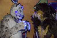 Fursuit Bowling Jan 1 2016-078 