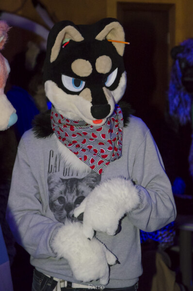 Fursuit Bowling Jan 1 2016-080