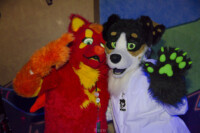 Fursuit Bowling Jan 1 2016-111 