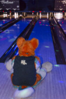 Fursuit Bowling Jan 1 2016-137 
