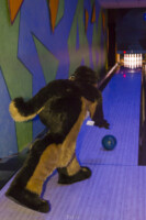 Fursuit Bowling Jan 1 2016-142 