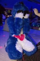 Fursuit Bowling Jan 1 2016-155 