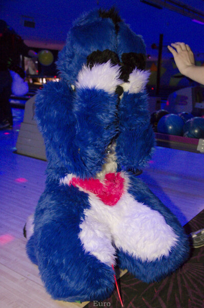 Fursuit Bowling Jan 1 2016-155