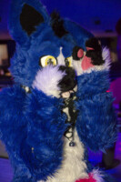 Fursuit Bowling Jan 1 2016-161 