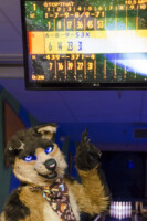 Fursuit Bowling Jan 1 2016-169 