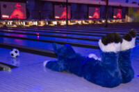Fursuit Bowling Jan 1 2016-184 