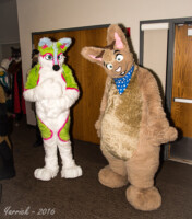 IMG_1102 