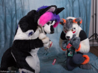 DSC_0964-Edit 