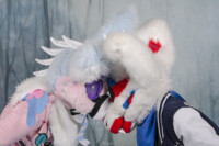 MNFurs Holiday Party 2016-053 