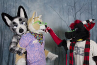 MNFurs Holiday Party 2016-076 