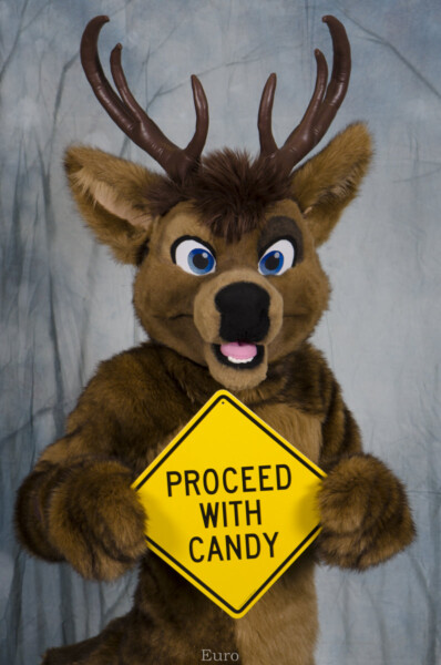 MNFurs Holiday Party 2016-114