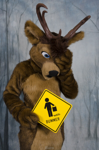 MNFurs Holiday Party 2016-118