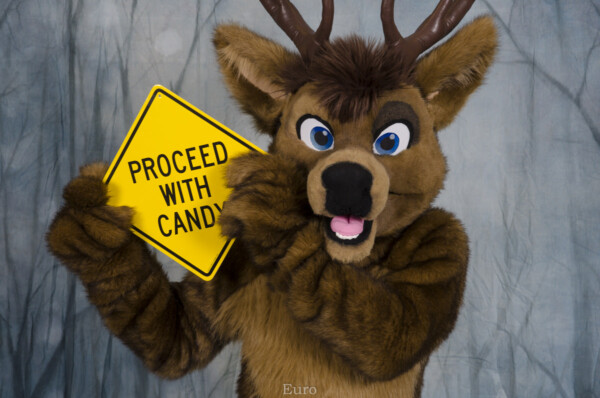 MNFurs Holiday Party 2016-123