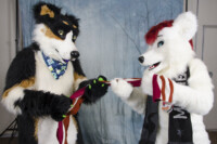 MNFurs Holiday Party 2016-141 