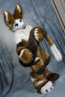 MNFurs Holiday Party 2016-225 