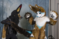 MNFurs Holiday Party 2016-228 