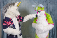 MNFurs Holiday Party 2016-234 