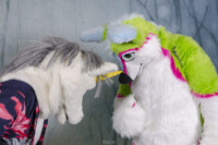 MNFurs Holiday Party 2016-236 