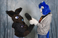 MNFurs Holiday Party 2016-247 