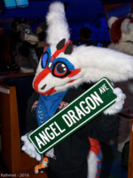 DSC_1369 
