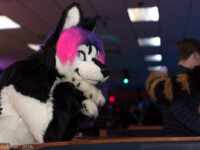 DSC_1394-Edit 