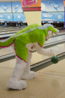 MNFurs Bowling Feb 20 2016-002 